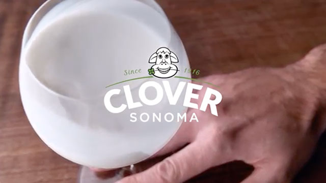 Clover Sonoma – The Swirl