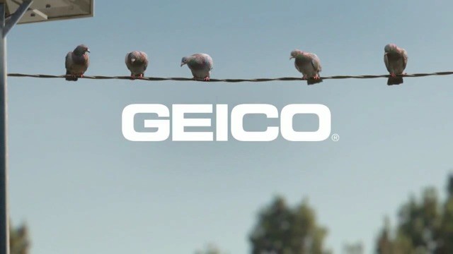 Geico Pigeons – Fire At Will