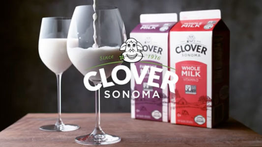 Clover Sonoma – Glasses Of Milk