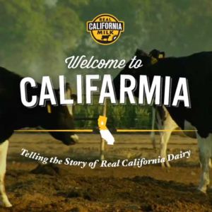 California Milk Advisory Board